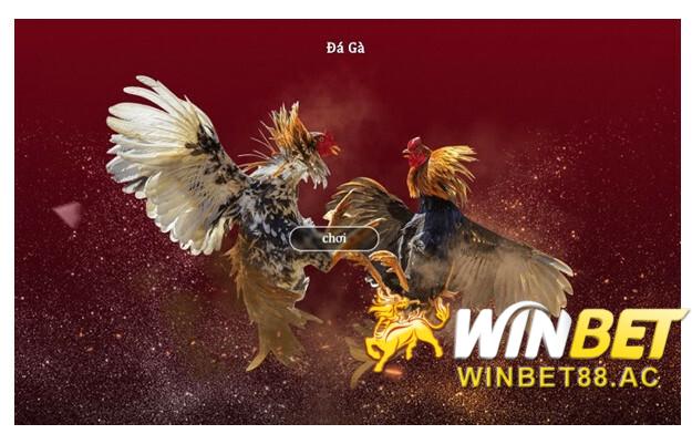 Sân chơi đá gà của nhà cái Winbet88 được kê thủ đánh giá cao