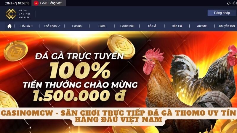 Giới thiệu đôi nét về nhà cái cá cược đá gà thomo casinomcw