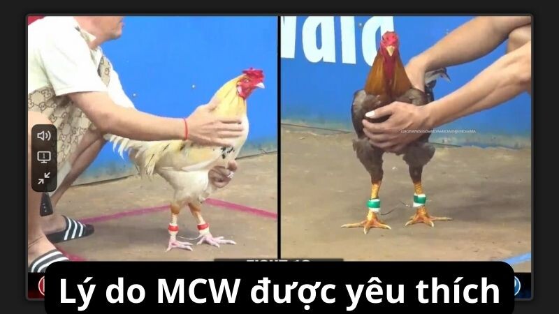 Lý do MCW được yêu thích