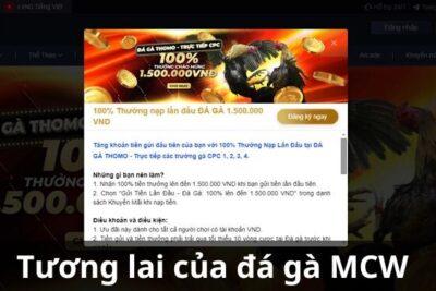 MCW – Thiên đường giải trí đá gà trực tuyến 