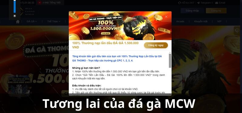 Tương lai của đá gà MCW